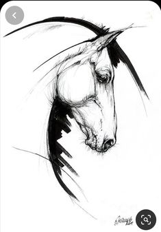 a black and white drawing of a horse's head