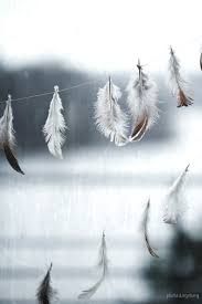 several white feathers are hanging on a string