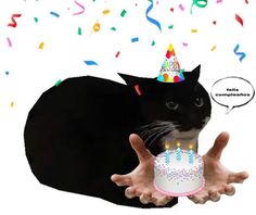 a black cat holding a birthday cake with candles on it's face and giving the peace sign