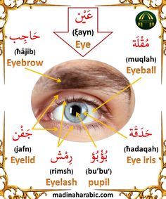 an eye is shown with the words in arabic and english on it's side