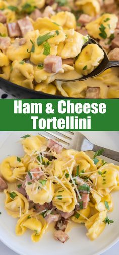 ham and cheese tortellini on a white plate