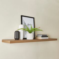 a shelf with some plants and books on it next to a framed photograph in the corner