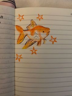 an open notebook with drawings of fish and stars on the pages, which are colored orange