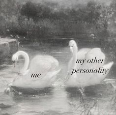 two white swans swimming in the water with an inspirational quote above them that says, my other personality is me