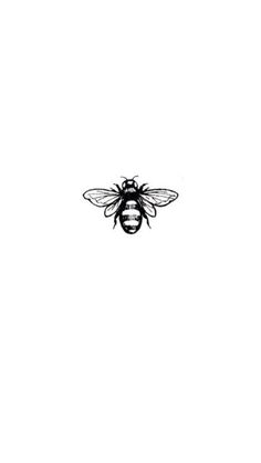 a black and white drawing of a bee