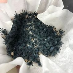 the inside of a white flower that is covered in dirt