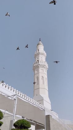 several birds flying in the air near a white tower