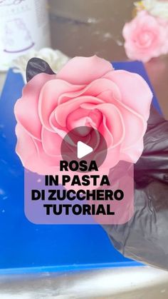 a person in black gloves holding a pink rose with the words rosa in pasta di zucchero