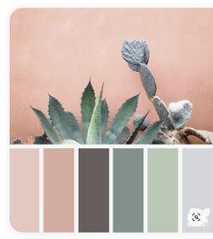 an image of a plant with color swatches