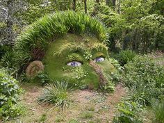 a face made out of grass in the middle of a garden with plants growing on it