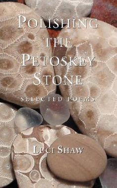 the cover of polishing the petoskiey stone