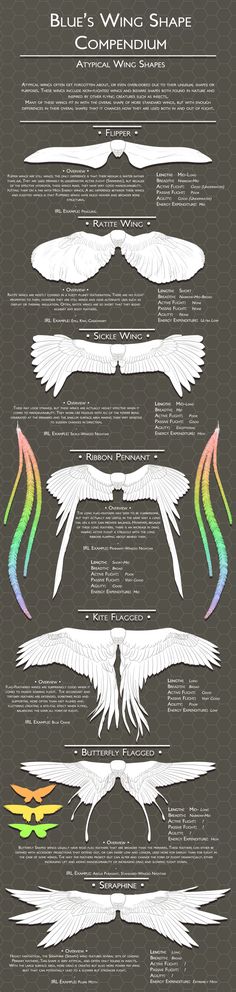 an info sheet showing the different types of wings and their markings for each wing type