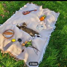 a cat laying on top of a white blanket covered in food and other items next to it