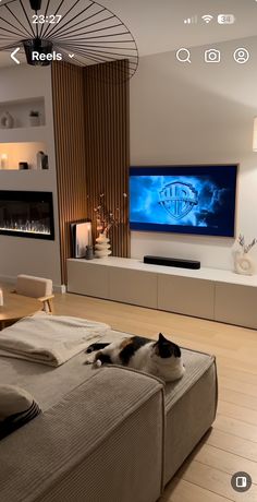 a cat laying on top of a couch in front of a flat screen tv mounted to the wall