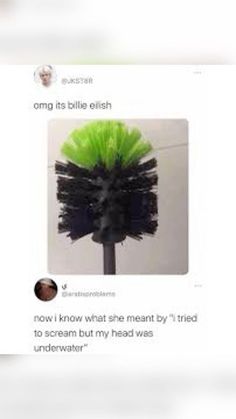 a tweet with a green and black brush on it's head that says, omg its bille ehish now i know what she meant by 1 tried to scream