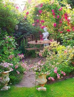 a garden with lots of plants and flowers