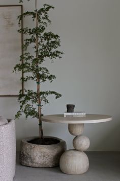 a bonsai tree sitting on top of a white table