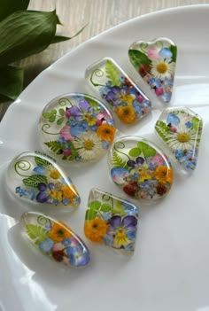 six glass flower cabs sitting on top of a white plate next to a green plant