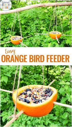 an orange bird feeder hanging from a branch in front of some trees and bushes with text overlay that reads easy orange bird feeder