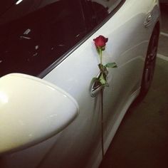 a white car with a single rose attached to it