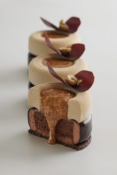 Mini Entremet, Entremet Recipe, Cocoa Recipes, Creative Desserts