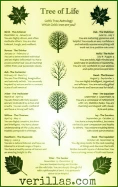 the tree of life poster with four different trees