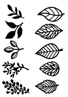 various leaves and branches on a white background