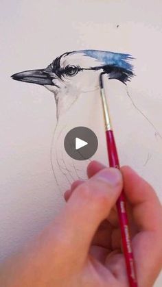 someone is drawing a bird with a pencil