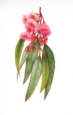 a painting of pink flowers with green leaves