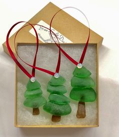 three green christmas trees in a box with red ribbon and tags on them, sitting next to each other