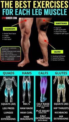 the best exercises for each leg muscle info poster with instructions on how to use it