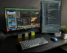 two computer monitors sitting on top of a desk next to a keyboard, mouse and plant