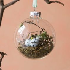 an ornament hanging from a tree filled with birds eggs