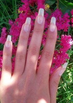 Natrual Nails, Nails After Acrylics, Nails Neutral, Real Nails, Nails Only, Nail Jewelry, Healthy Nails, Dream Nails