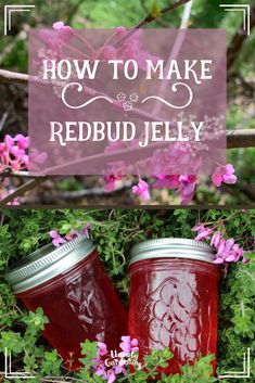 two jars with red liquid in them sitting on the ground next to some pink flowers