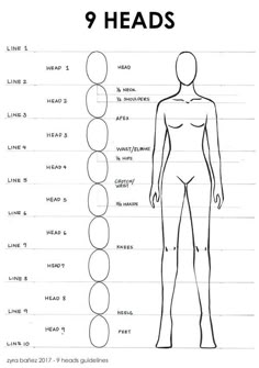 an outline drawing of the body and head, with different types of heads on each side