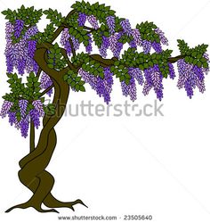 wister tree with purple flowers on white background