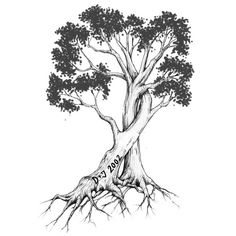 a black and white drawing of a tree with roots