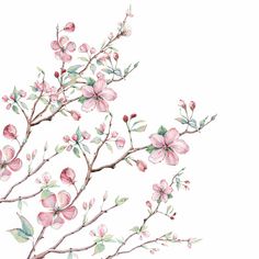 an artistic painting of pink flowers on a branch with green leaves against a light blue background