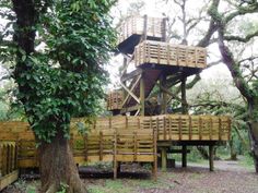 a tree house built into the side of a forest