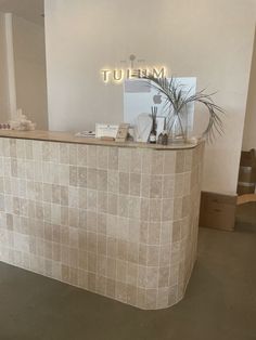 the front desk of a store with a plant on it's display shelf and other items