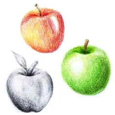 two apples and an apple are drawn in colored pencils on a white paper background