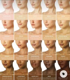 Skin Tone Chart, Skin Color Chart, Skin Tone Makeup, Neutral Skin Tone, Airbrush Foundation, Sunkissed Skin, Skin Undertones, Olive Skin Tone, Foundation Shade