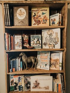 a book shelf filled with lots of books and toy figurines on top of it