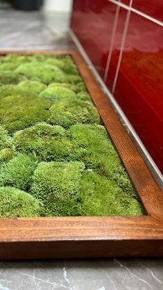 a wooden frame filled with green moss sitting on top of a counter