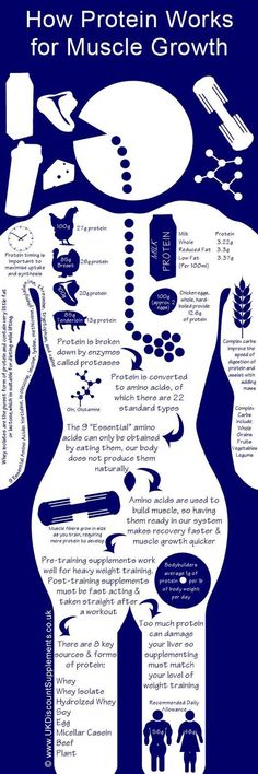 how protein works | How Do It Info                                                                                                                                                      More Feel Energized, Muscle Protein, Muscles In Your Body, Muscle Growth, Health Info, Mens Health, Fitness Nutrition, Weight Training, Fitness Diet