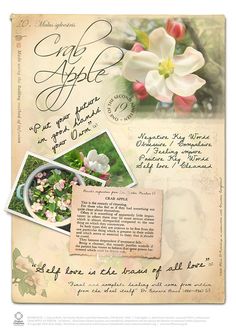 an old fashioned postcard with flowers and pictures on the front, along with text