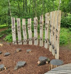 a group of wooden logs sitting in the middle of a forest next to a bench