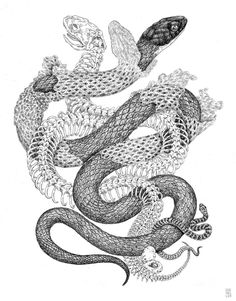 a black and white drawing of a dragon with two smaller snakes on it's back