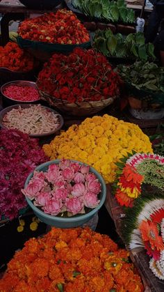 many different types of flowers are on display